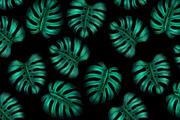 Monstera seamless patterns, a Pattern Graphic by ARTVracovska (Thumbnail 6 of 6)