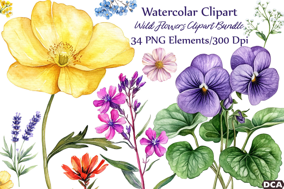 Watercolor Wild Flowers Clipart, an Illustration by DreamCafeArt (Photo 1 of 7)