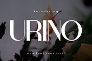 Urino, a Serif Font by riotama85 (Thumbnail 1 of 5)