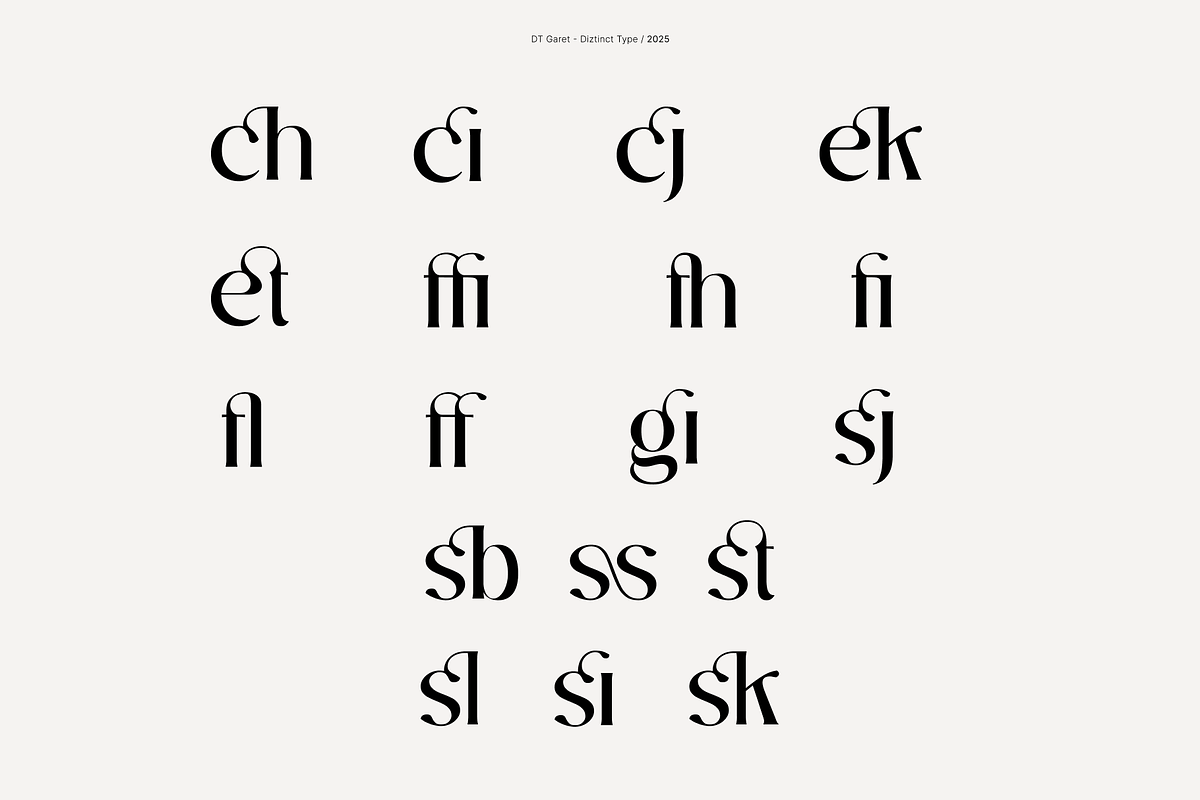 DT Garet – Luxury Serif Typeface, a Font by Diztinct Type (Photo 6 of 12)