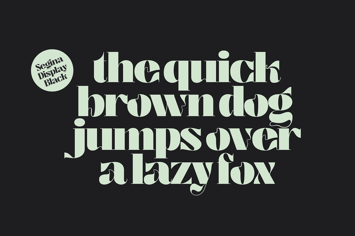 Segina - Decorative Serif, a Serif Font by creativemedialab (Photo 6 of 12)