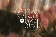 Fiore - Hybrid Variable Serif, a Serif Font by Sans & Sons (Thumbnail 8 of 8)