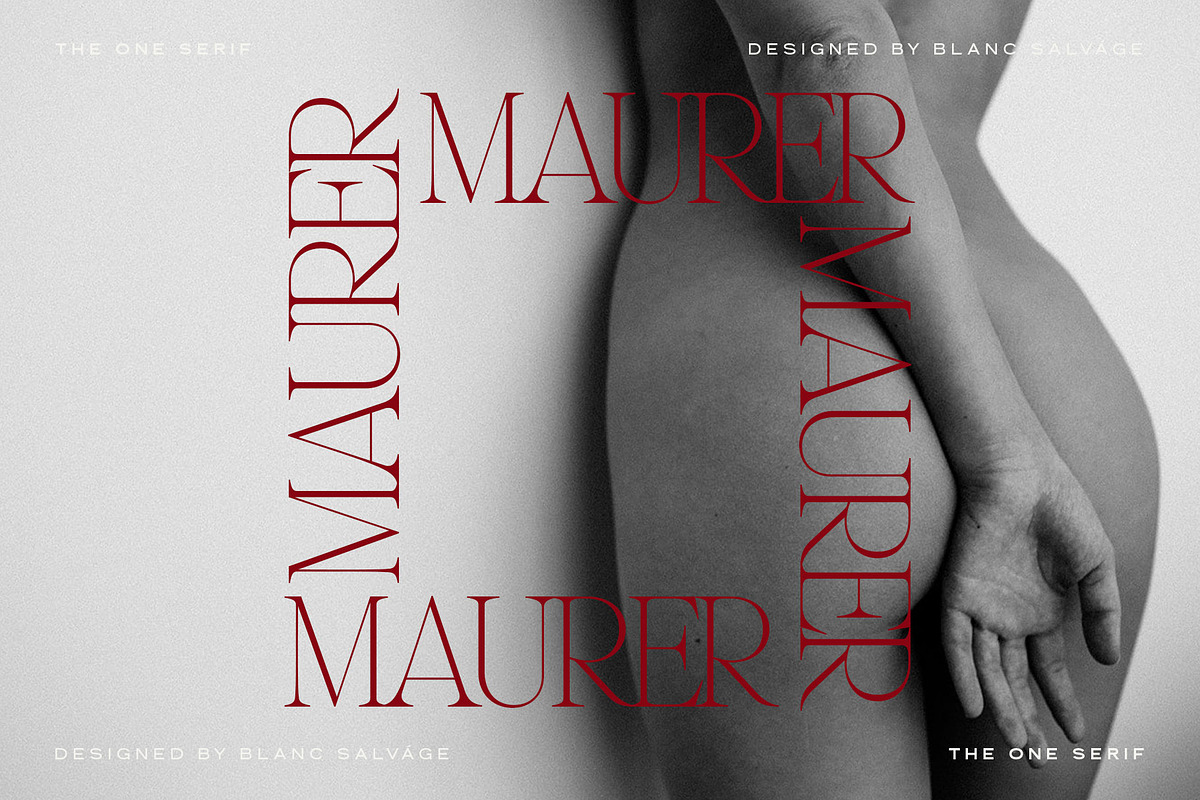 The One Editorial Serif, a Serif Font by Blanc Salváge (Photo 9 of 18)