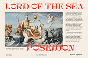 Bornice Modern Serif, a Serif Font by Damelev (Thumbnail 4 of 13)