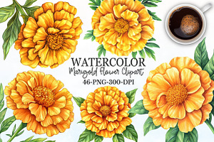 Marigold Flower Bloom Clipart, an Illustration by Rose Art