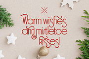 SLTF Holiday Whispers Typeface, a Sans Serif Font by SilverStag Type Foundry (Thumbnail 12 of 20)
