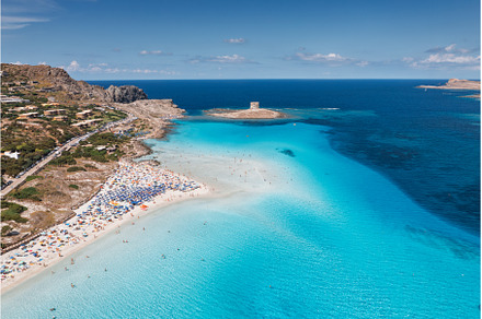 Aerial view of famous La Pelosa, a Nature Photo by den-belitsky