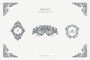 Ornate Designs: Illustration Pack, an Illustration by Sarah Ann Design (Thumbnail 1 of 7)