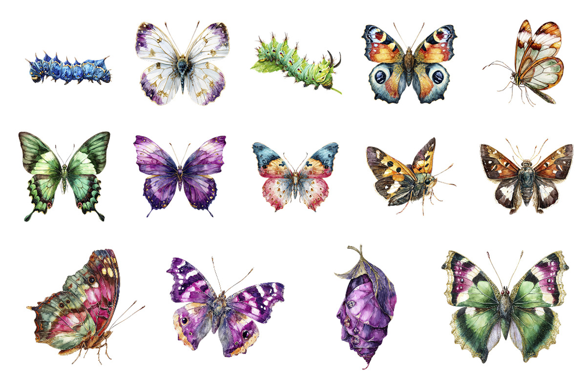 Adorable Butterfly Clipart Bundle, an Animal Illustration by InkyQueenArt (Photo 4 of 5)