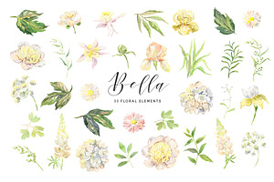 Bella. Watercolor Floral Collection