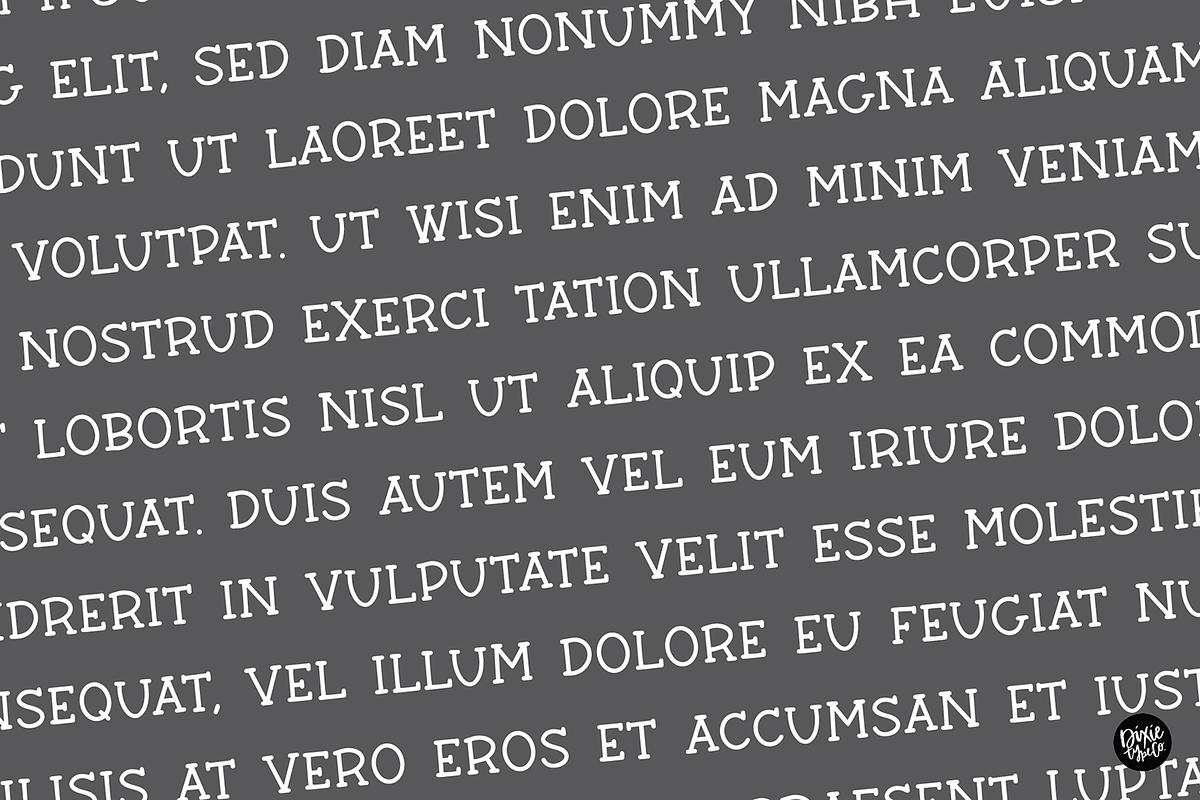 BARN ACRE Farmhouse Serif Font, a Serif Font by Blush Font Co. (Photo 2 of 7)