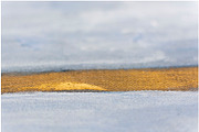 Winter snowstorm Christmas Textures, a Texture Graphic by Oleg and Katja (Thumbnail 22 of 37)