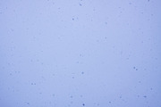 Snowfall textures and overlays, a Nature Photo by pictures for you (Thumbnail 3 of 15)