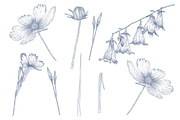 Wild Flowers, a Graphic by lycka (Thumbnail 4 of 4)