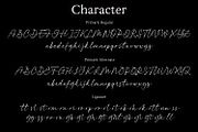 Primark - Organic Calligraphy Script, a Script Font by Cititype (Thumbnail 12 of 13)