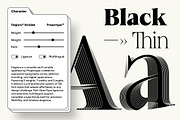 Felgiora, a Serif Font by Propertype (Thumbnail 4 of 16)