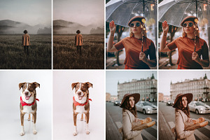 88. Peter Film Presets