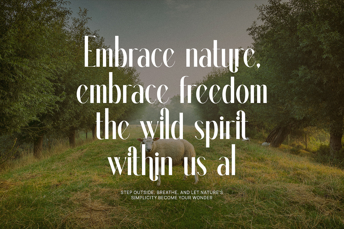 Dalkine Modern Serif Font, a Serif Font by Perfectype (Photo 5 of 6)