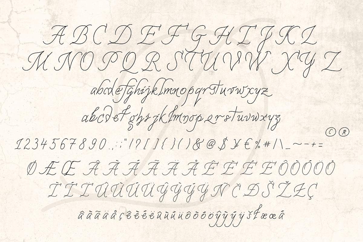 DAENERYS Serif and Script Font Duo preview 8