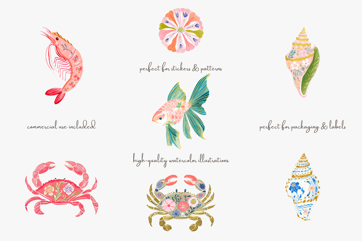 Tropical reef clipart set, a Decorative Illustration by Patishop Art (Photo 2 of 10)