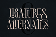 Royal Type - ligature serif font, a Serif Font by VP Fonts (Thumbnail 12 of 16)