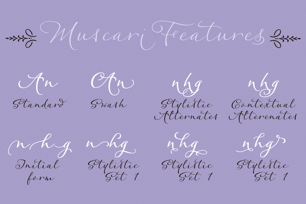 Muscari Bold preview 3