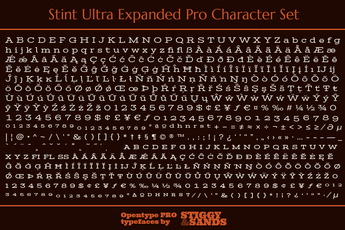 Stint Ultra Expanded Pro Family preview 5
