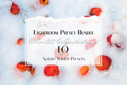 Winter Wonderland Lightroom Preset, a Plug-in Add-On by Jana Mänz Photography (Thumbnail 3 of 8)