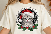 Christmas Cat Santa Hat PNG, an Object Illustration by DreamCafeArt (Thumbnail 3 of 6)