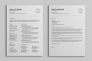 Clean Resume CV - Hudson, a Resume Template by SNIPESCIENTIST (Thumbnail 2 of 3)