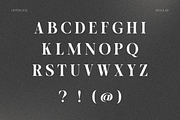 OV Cotin Serif Font Family, a Serif Font by OV Type (Thumbnail 3 of 16)
