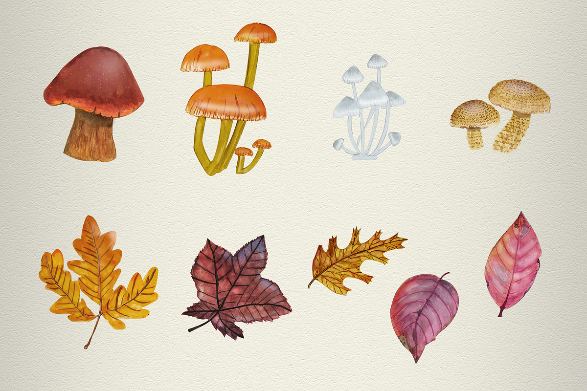 Cozy Fall Vibes Watercolor Elements, a Pattern Graphic by Sheikhadesign (Photo 7 of 7)