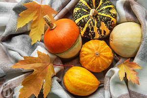 Assorted pumpkins gourds and autumn leaves on plaid blanket, a Holiday Photo by Olena Rudo