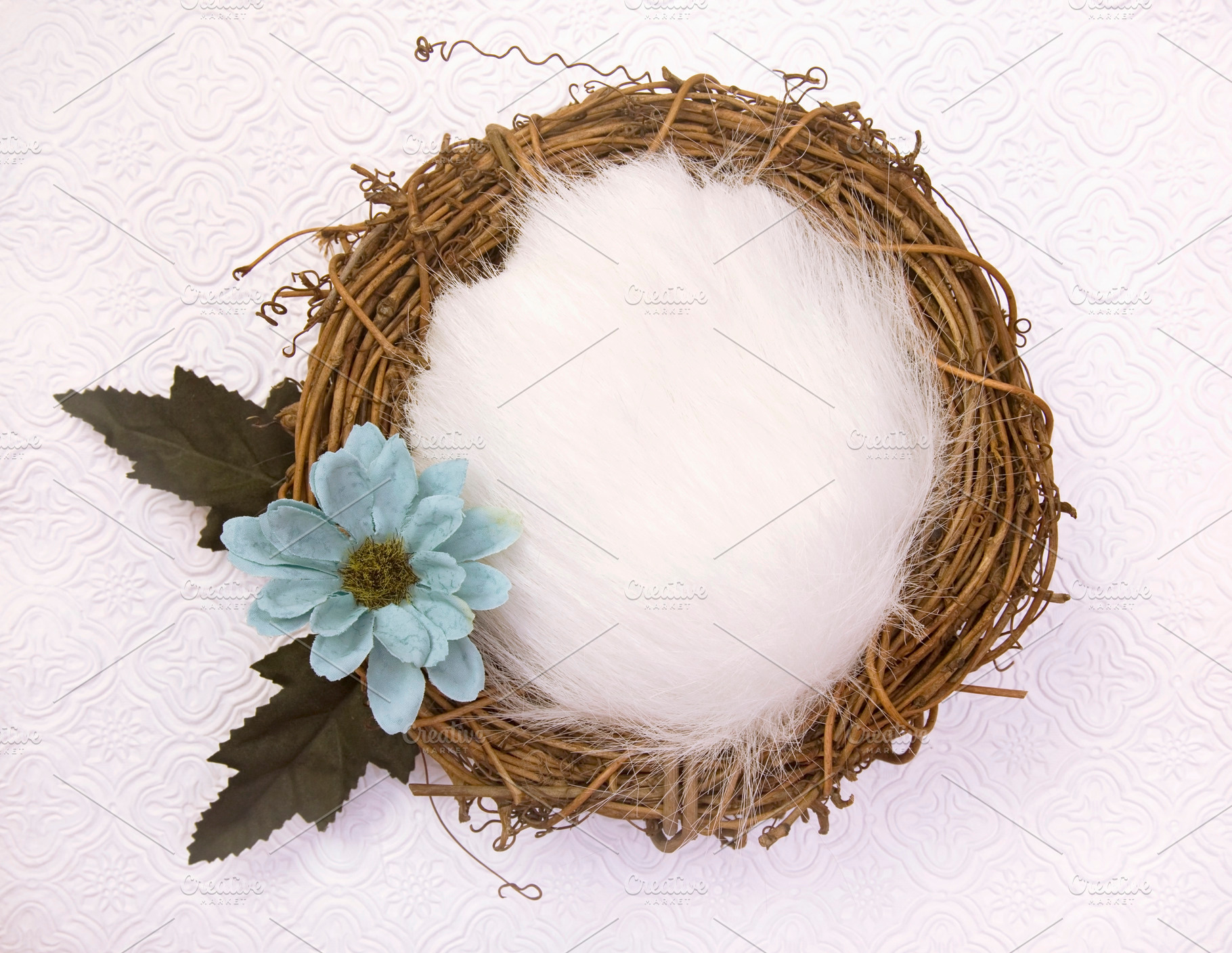 Newborn backdrop  nest and daisy featuring newborn, background, and backdrop, a Nature Photo by P Maxwell Photography