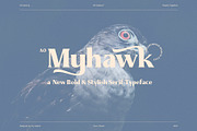 AO Myhawk - Display Typeface, a Font by OwunStudio (Thumbnail 1 of 15)