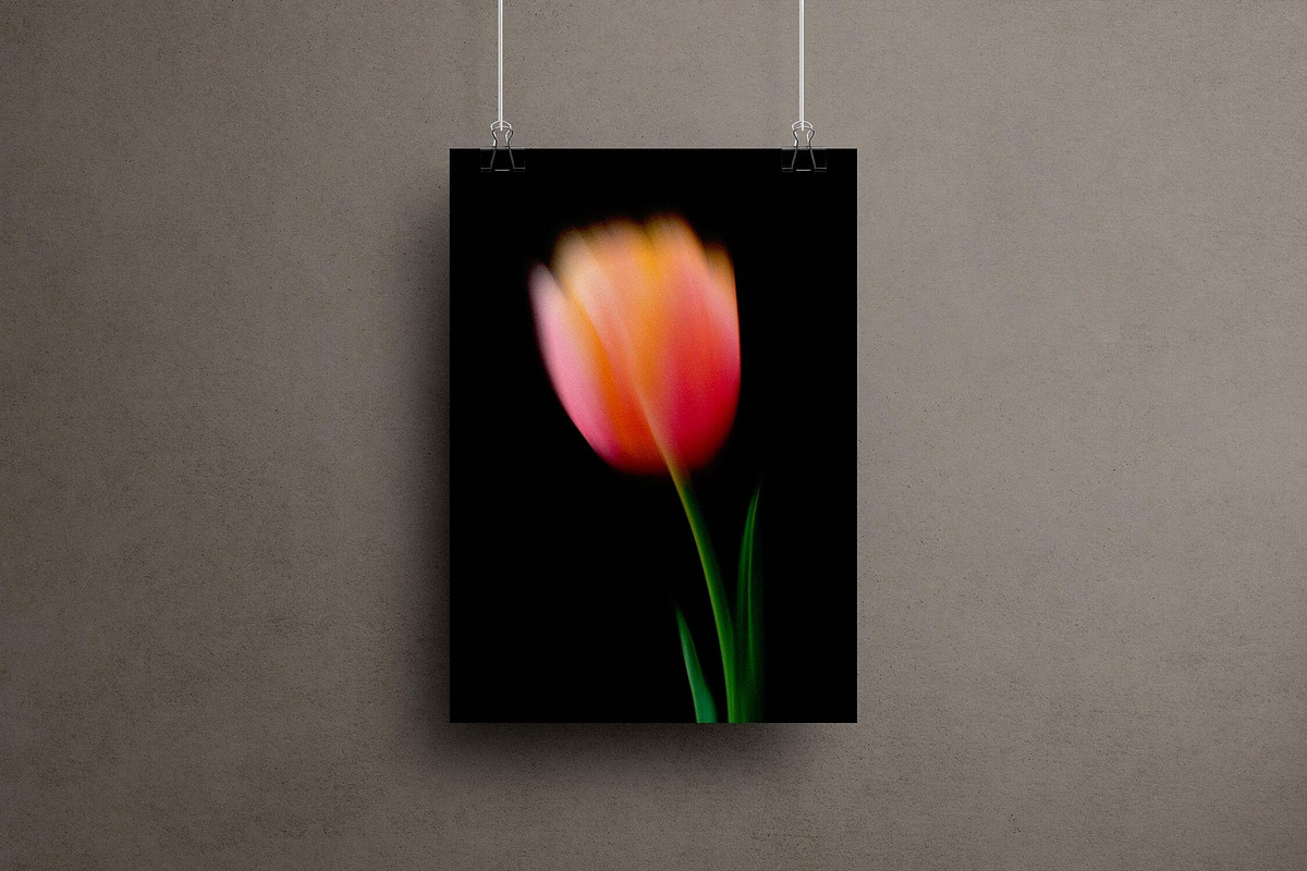 Dream Haze Flower Posters Collection, a Texture Graphic by Design Squad