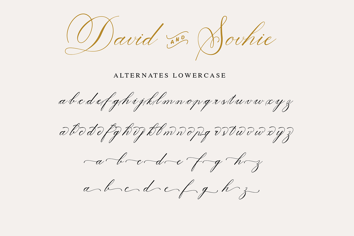 David and Sovhie, a Script Font by Silverdav (Photo 7 of 7)