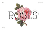 Disenativo - Sharp Display Fonts, a Sans Serif Font by Patria Ari (P4tcreativa) (Thumbnail 2 of 10)