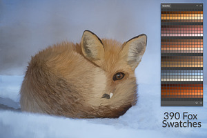 Fox Swatches