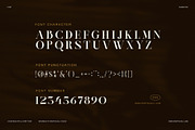 Trione Elegant Serif Font, a Serif Font by Graphicxell (Thumbnail 8 of 8)