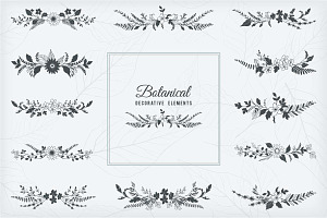 Botanical Decorative Elements
