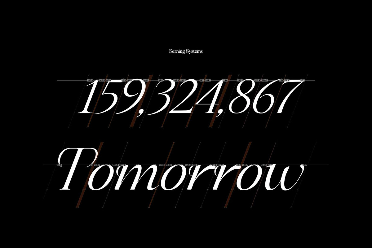 Ceciliany Serif Font Family, a Serif Font by Ryul Davidson (Photo 17 of 25)