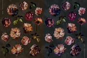 Luxury Hand Painted Floral Art, an Object Illustration by Eclectic Anthology (Thumbnail 10 of 10)