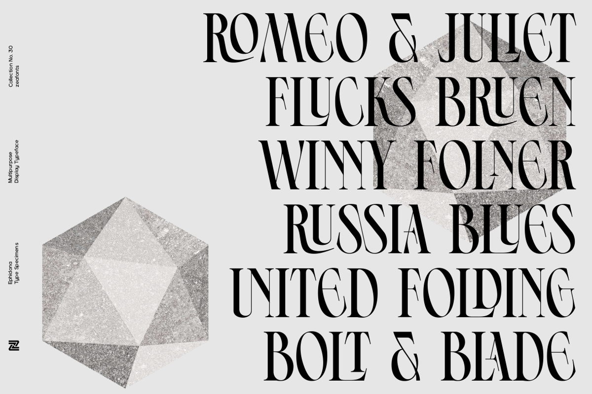 Ephidona, a Serif Font by Bagerich Type Foundry (Photo 4 of 16)