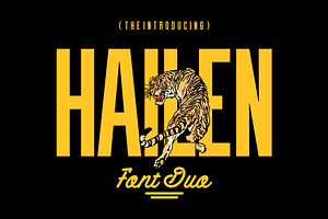 Hailen | Font Duo, a Sans Serif Font by Fateh.Lab