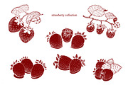 Strawberry Vector Collection, a Food Illustration by Lubov Illustrations Shop (Thumbnail 2 of 7)