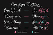 Aurellisa | Lovely Script, a Script Font by Almeera Std (Thumbnail 5 of 10)