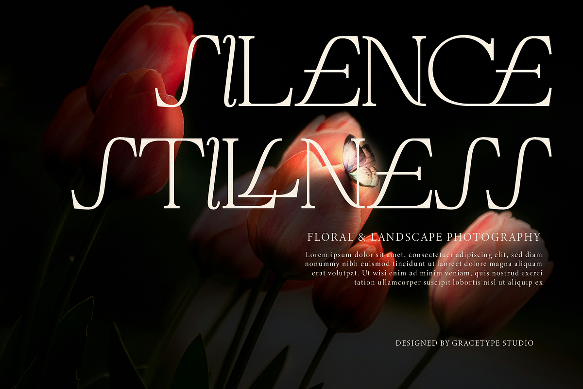 Cardelo | Elegant Serif Font, a Serif Font by gracetype_studio (Photo 3 of 12)