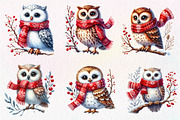Christmas Owl Clipart PNG, an Illustration by Dream Creation (Thumbnail 2 of 7)