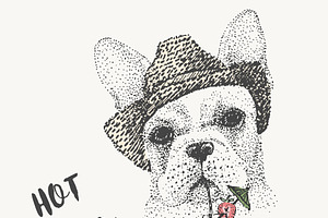 French bulldog